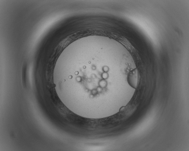 X0000116340189200912291619