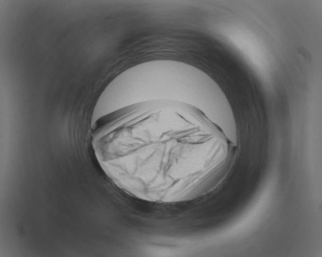 X0000116340190200912291619