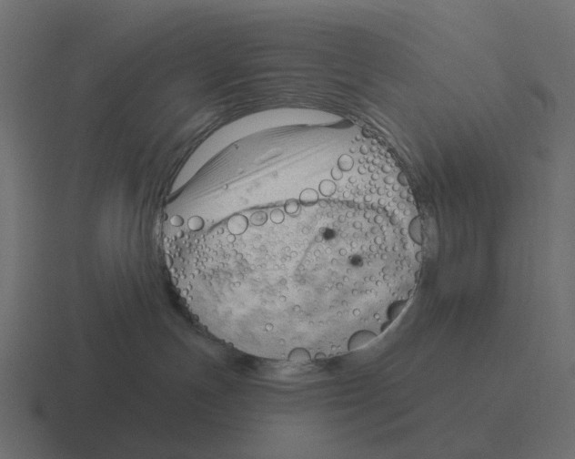 X0000116340191200912291619