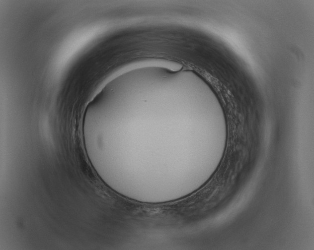 X0000116340194200912291619