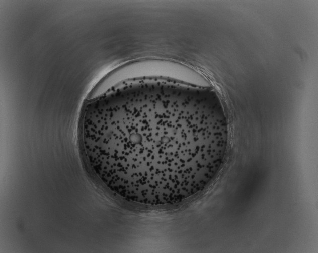 X0000116340196200912291619