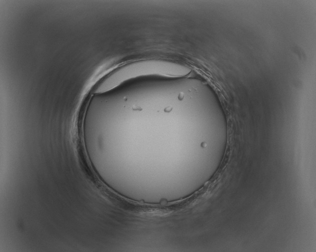 X0000116340198200912291619