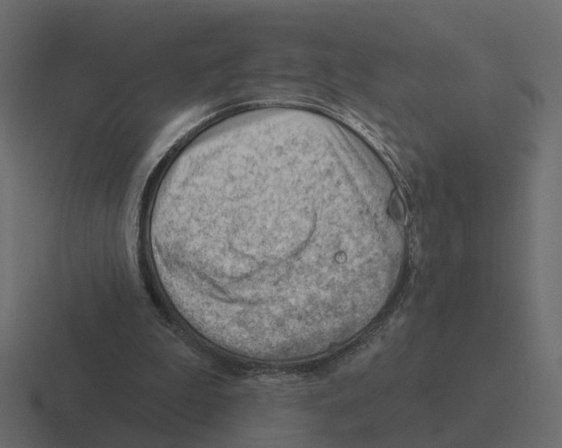 X0000116340199200912291618