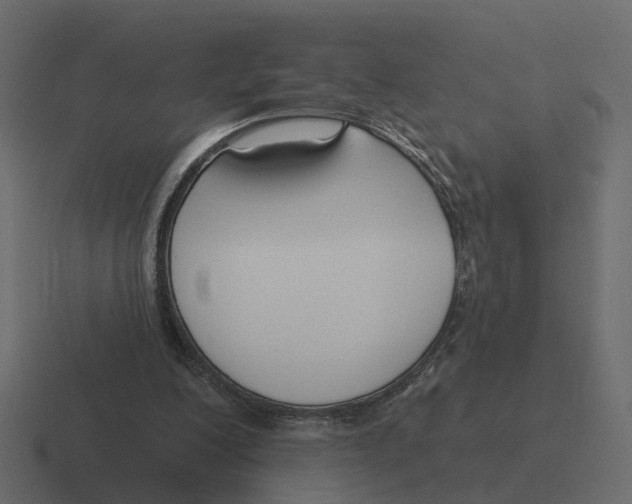 X0000116340200200912291618