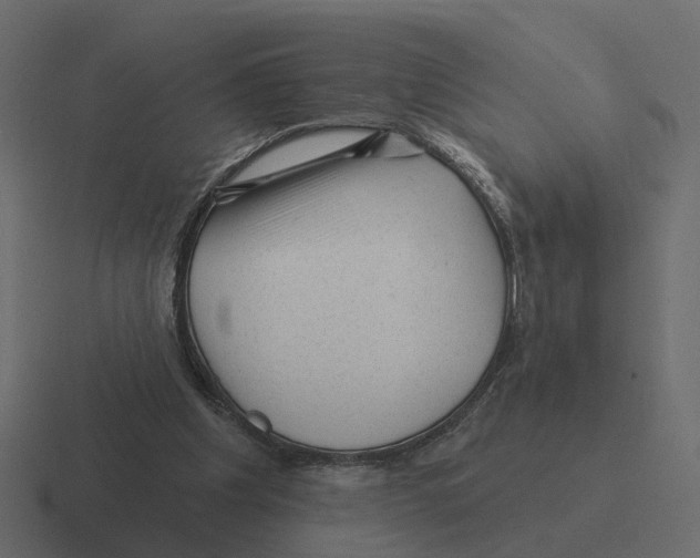 X0000116340201200912291618