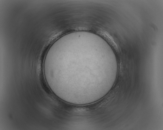 X0000116340202200912291618