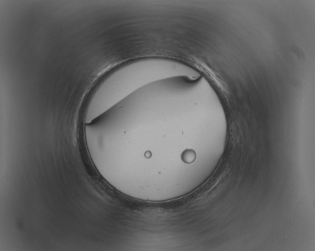 X0000116340203200912291618