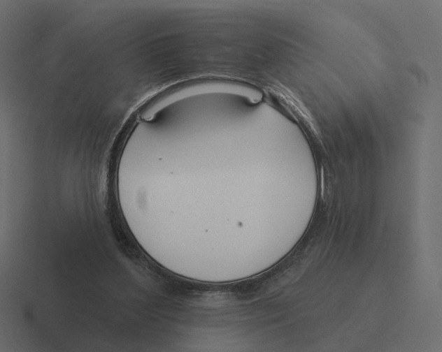 X0000116340204200912291618