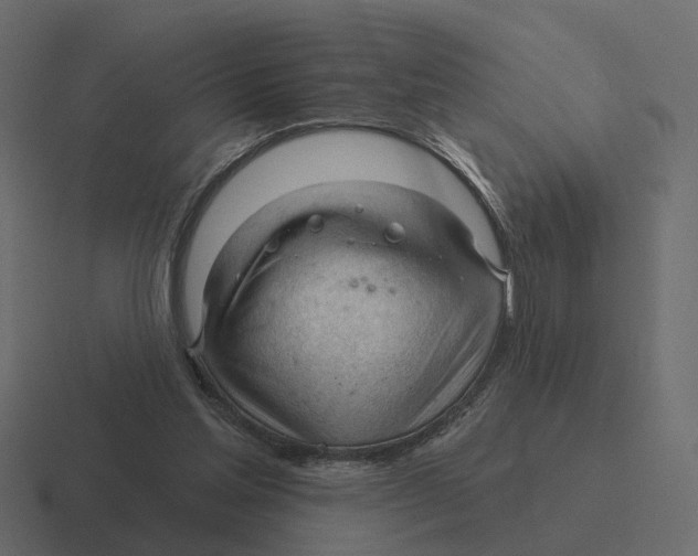 X0000116340205200912291618