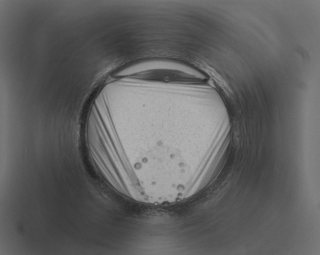 X0000116340207200912291618