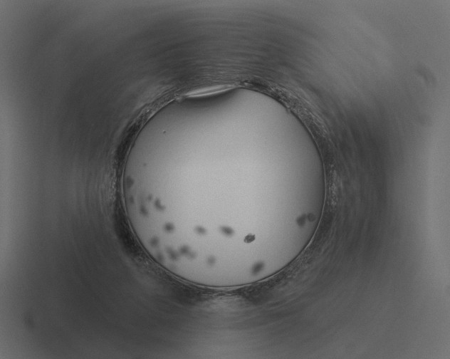 X0000116340210200912291618