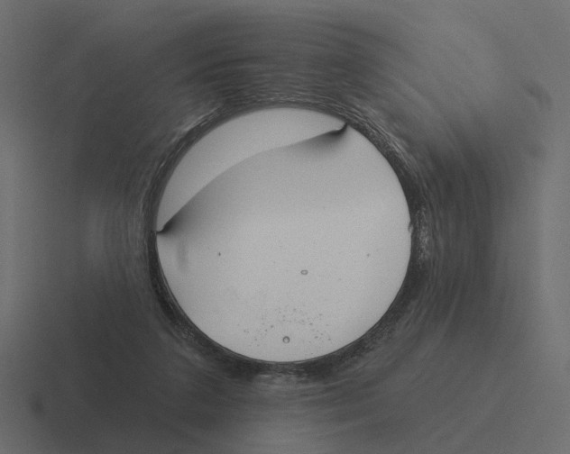 X0000116340211200912291618