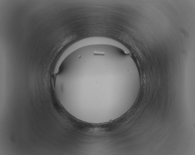 X0000116340212200912291618