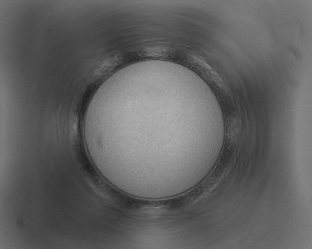 X0000116340213200912291618