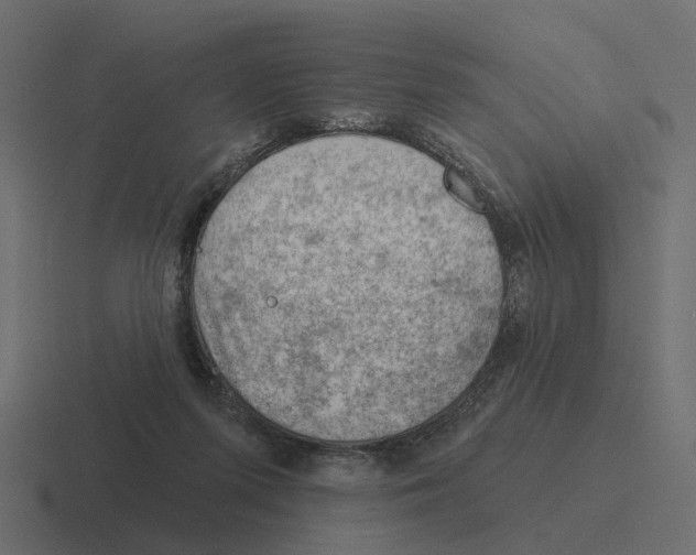 X0000116340215200912291618