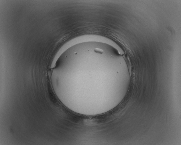 X0000116340216200912291618