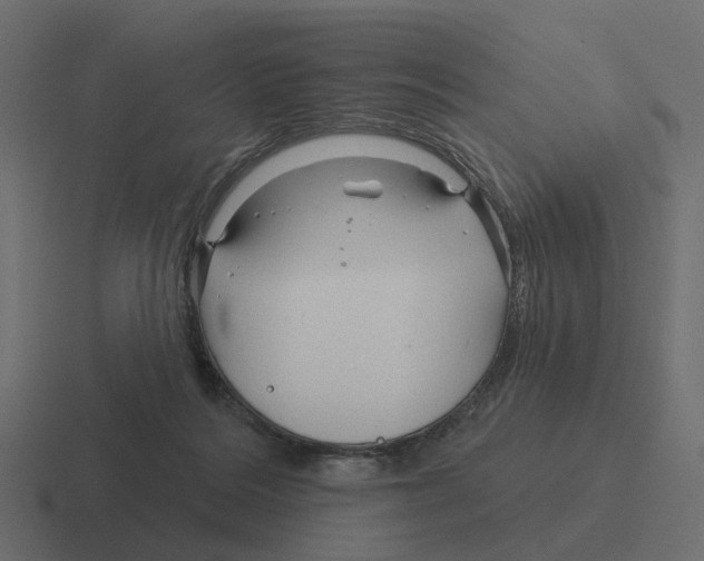 X0000116340220200912291618