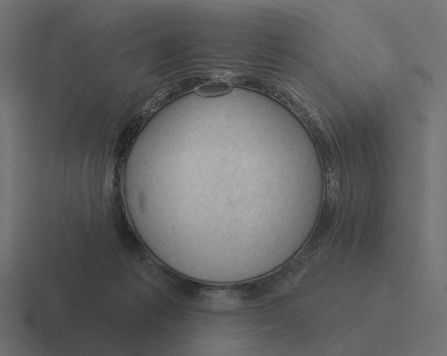 X0000116340221200912291618