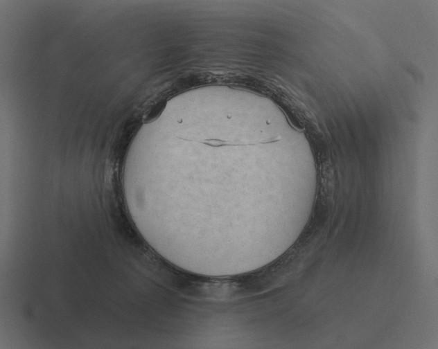 X0000116340225200912291618