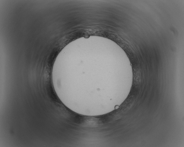 X0000116340226200912291618