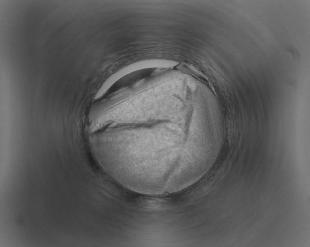 X0000116340229200912291618