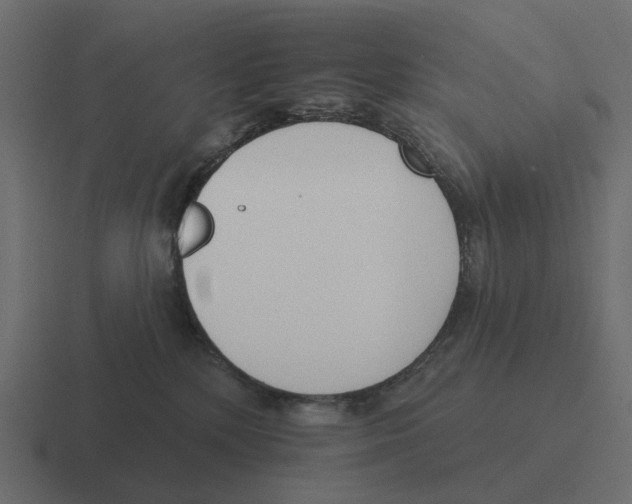 X0000116340232200912291618