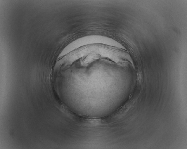 X0000116340233200912291618