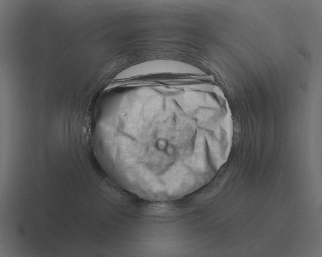 X0000116340237200912291618