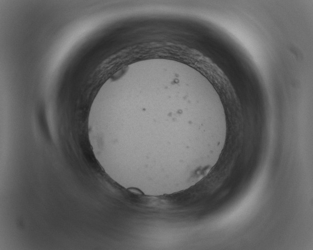 X0000116340239200912291618