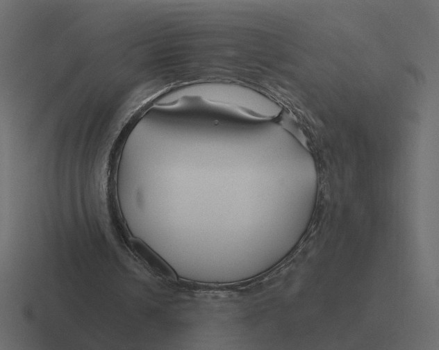 X0000116340242200912291617