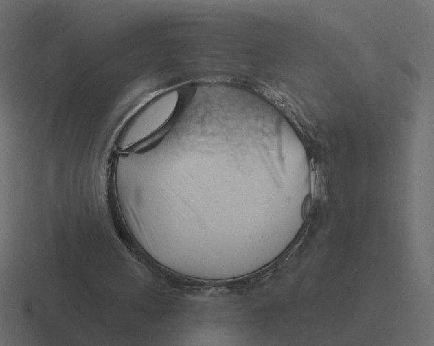 X0000116340243200912291617