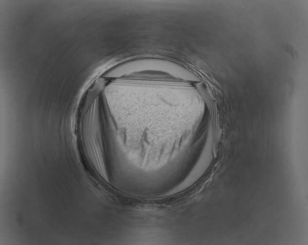 X0000116340244200912291617