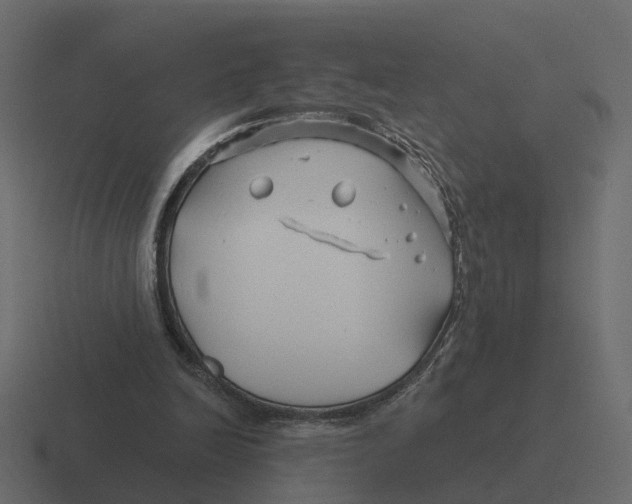 X0000116340246200912291617