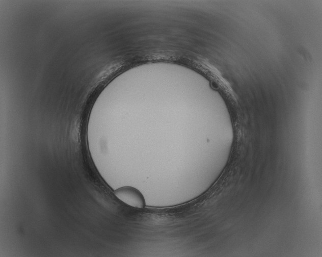 X0000116340250200912291617