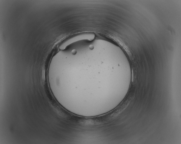 X0000116340253200912291618