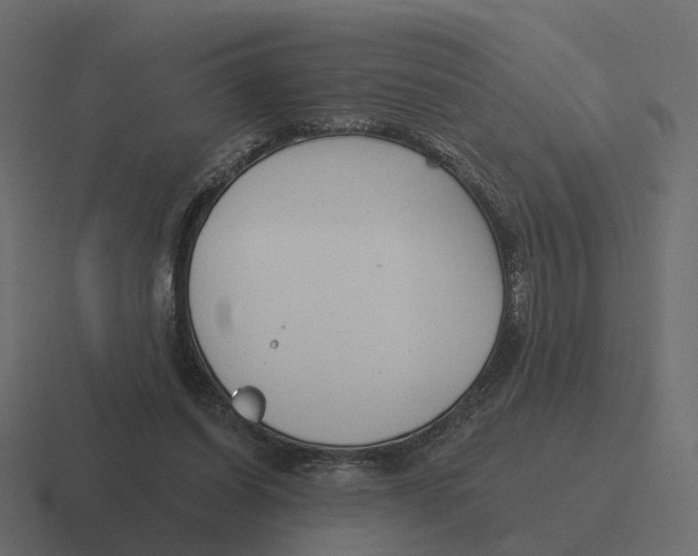 X0000116340254200912291618