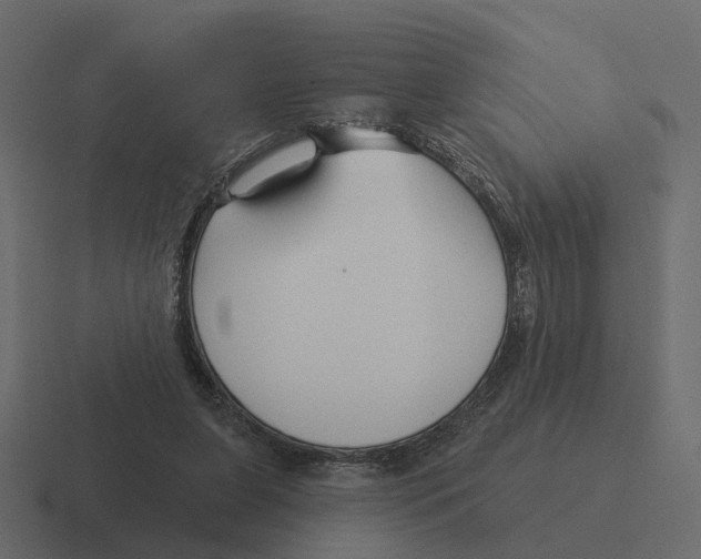 X0000116340255200912291618