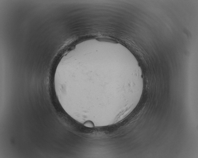 X0000116340256200912291618