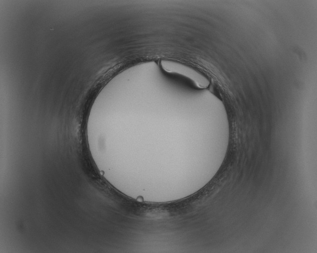 X0000116340258200912291618