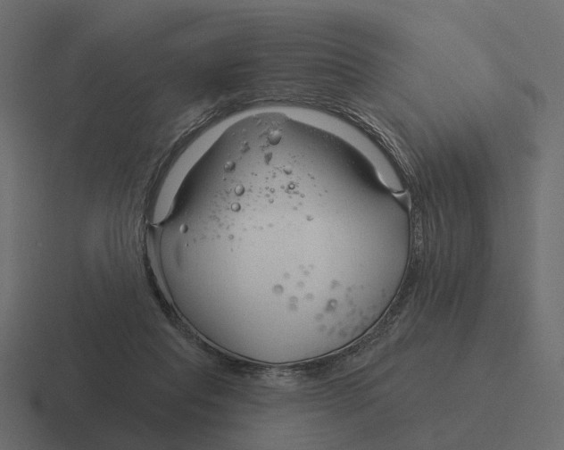 X0000116340261200912291618