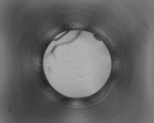 X0000116340264200912291618