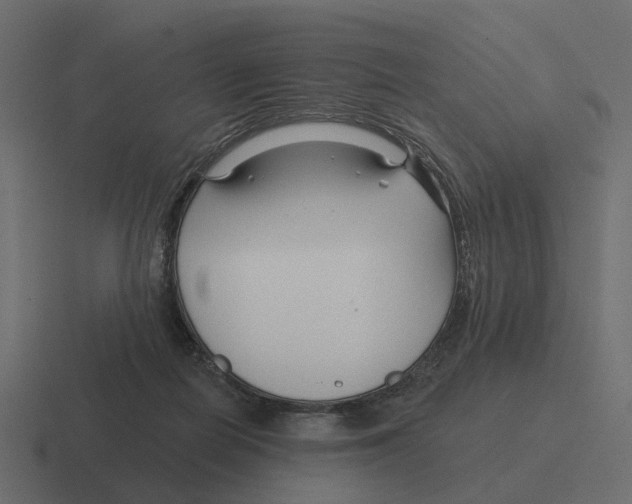 X0000116340266200912291618