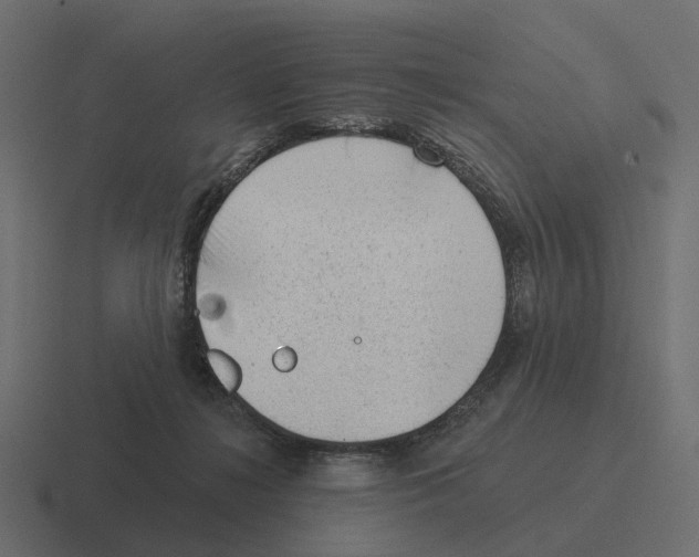 X0000116340268200912291618