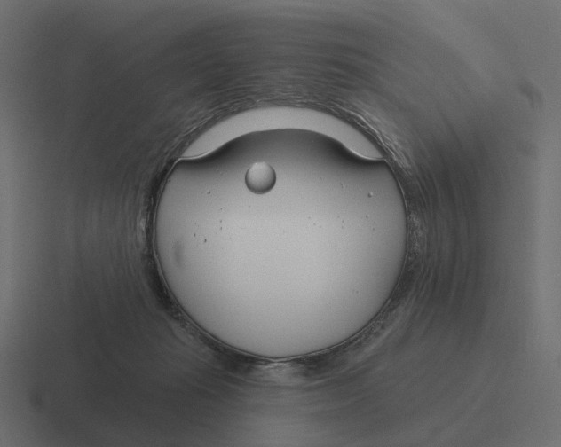 X0000116340269200912291618