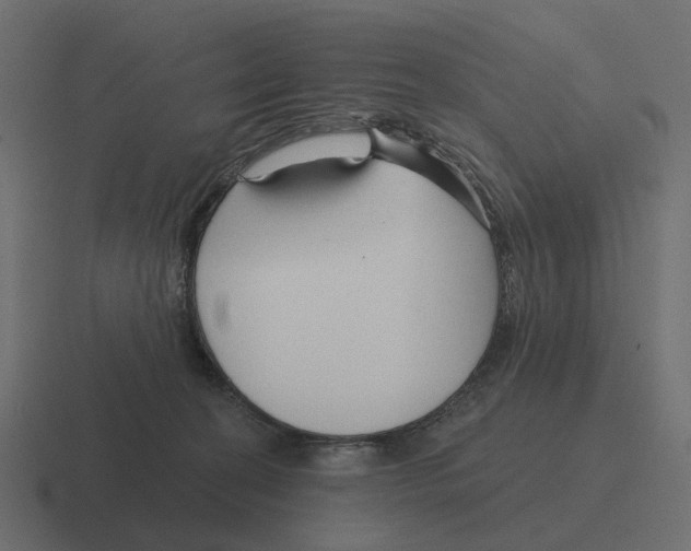 X0000116340274200912291618