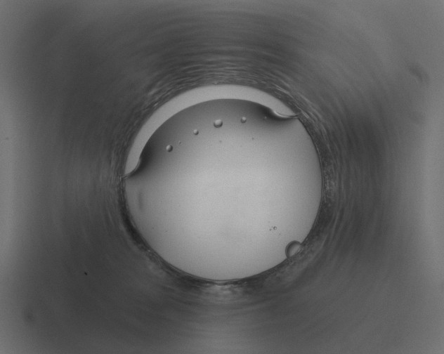 X0000116340277200912291618