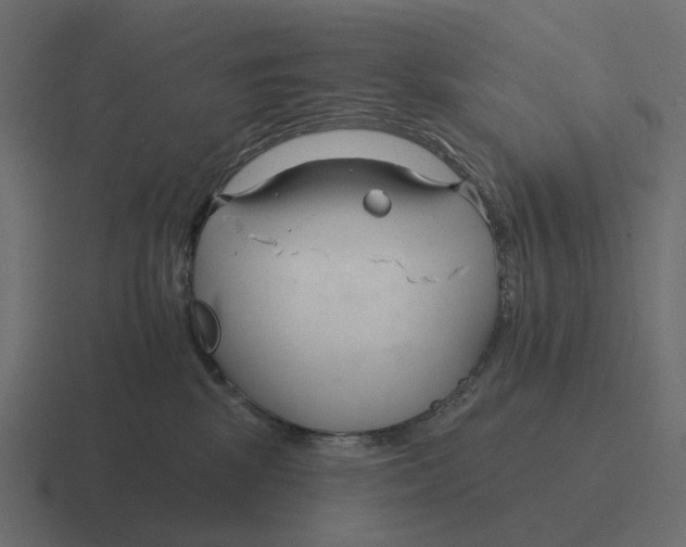 X0000116340281200912291618