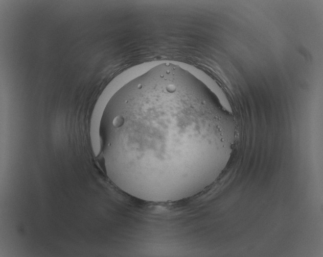 X0000116340285200912291618