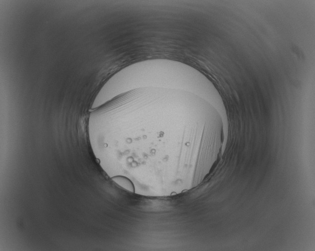 X0000116340286200912291618