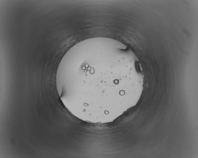 X0000116340288200912291618